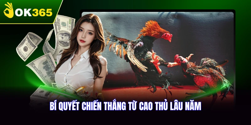 Bí quyết chiến thắng từ cao thủ lâu năm