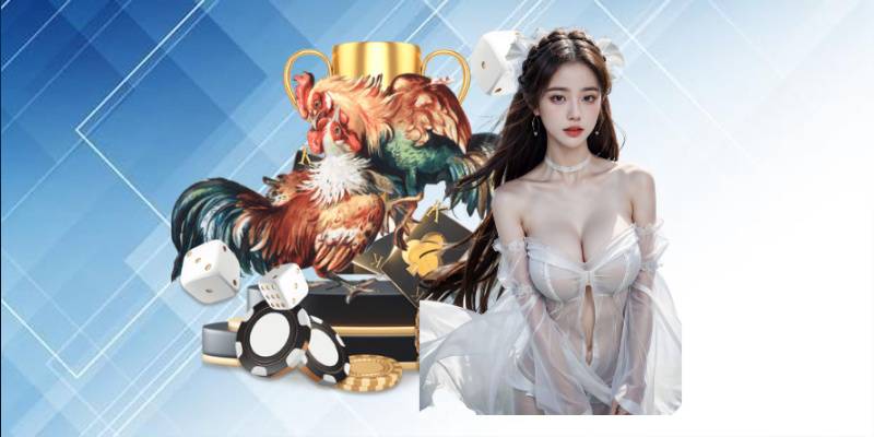 Cuộc đối đầu gà không khoan nhượng