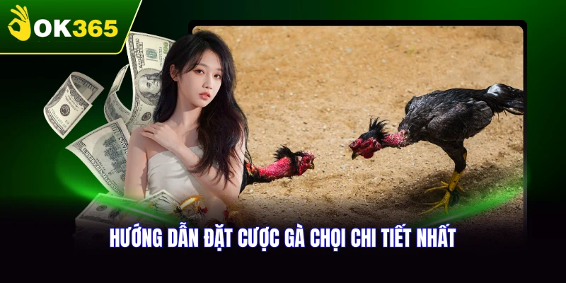 Hướng dẫn đặt cược đá gà WS168 chi tiết