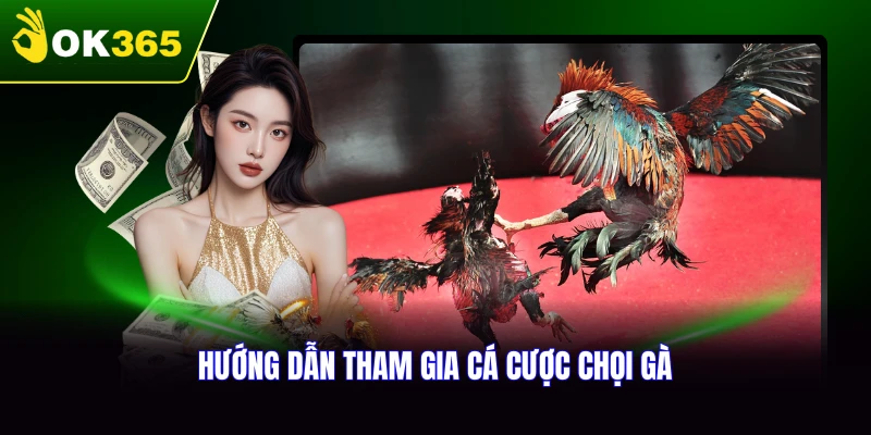 Hướng dẫn tham gia cá cược chọi gà hiệu quả