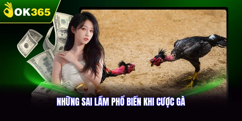 Những sai lầm phổ biến khi cược gà