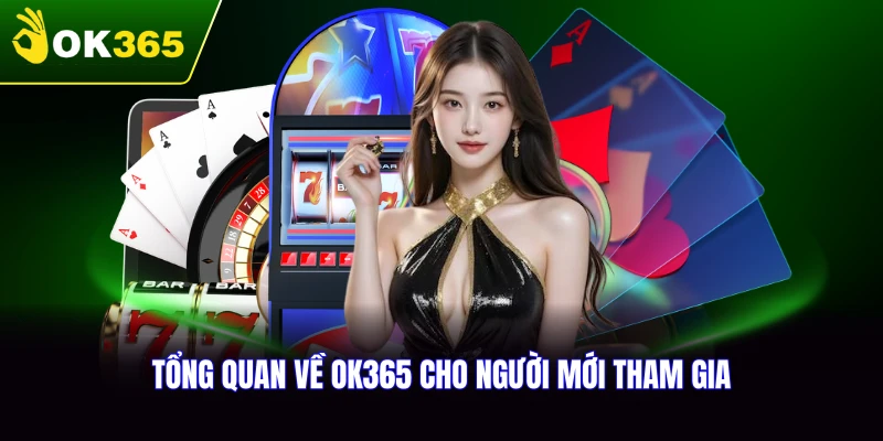 Tổng quan về OK365 cho người mới tham gia