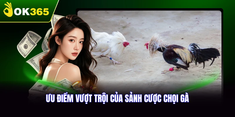 Những ưu điểm vượt trội của sảnh đá gà SV128